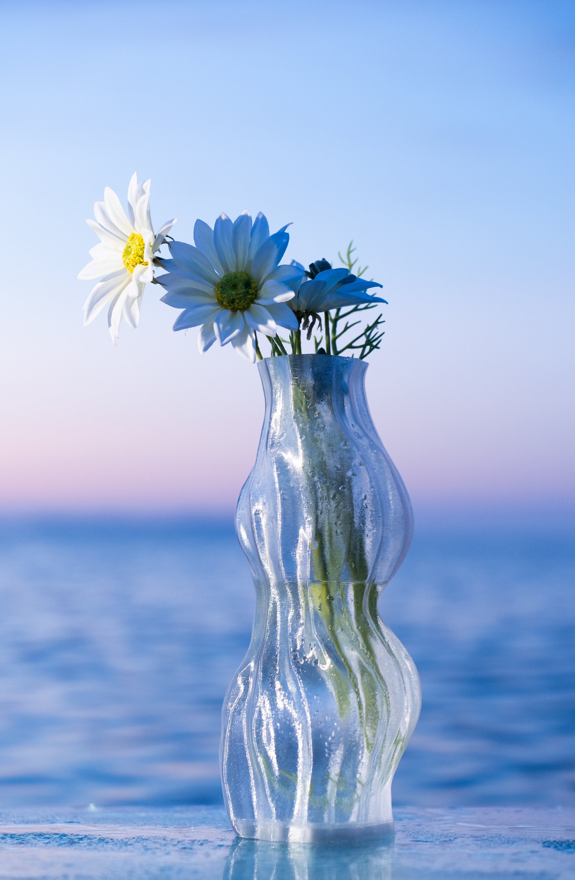 Vase Aria transparent contenant des marguerites, posé sur une table en verre au lever du soleil, face à la mer.