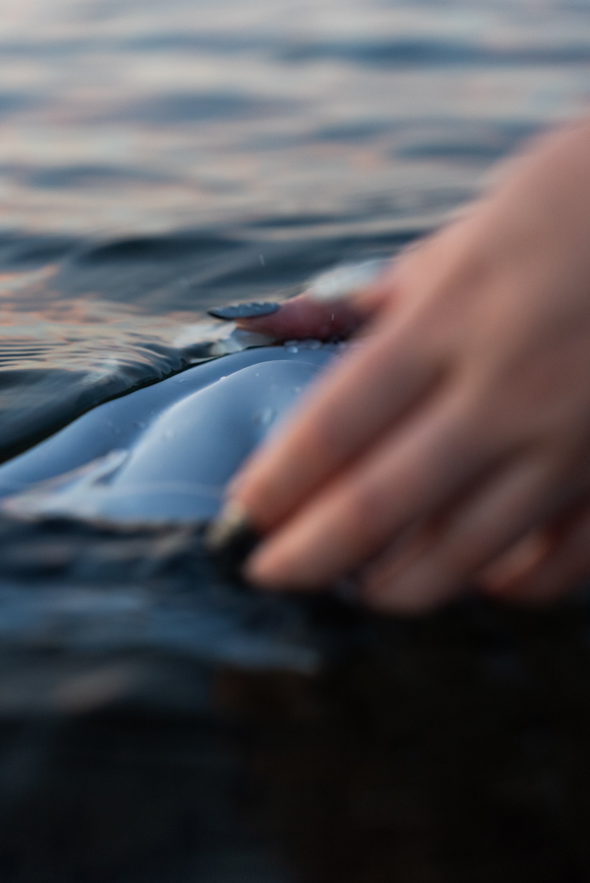 Vase Aura en PLA chromé partiellement immergé dans l’eau, touché par une main, au lever du soleil