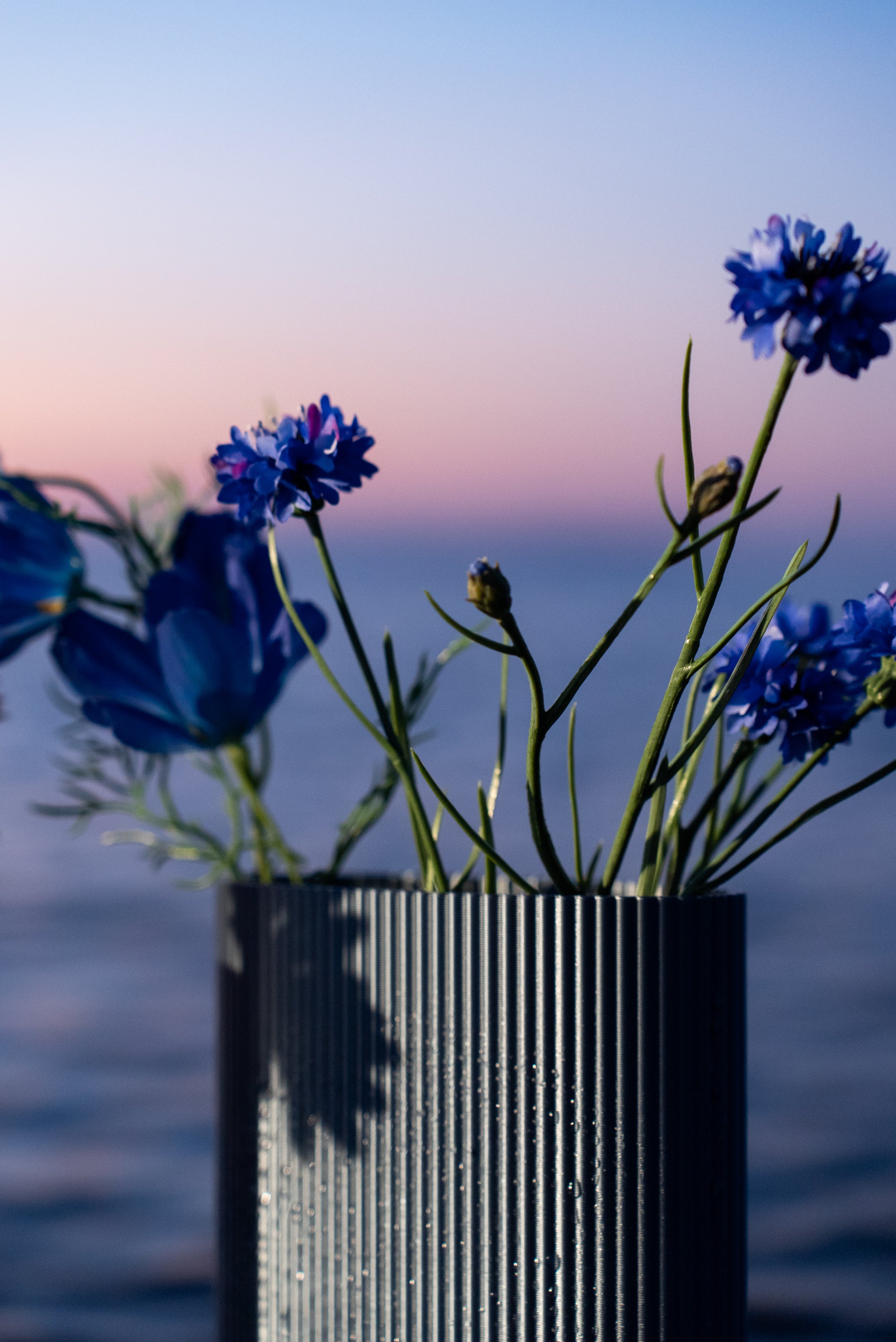 Gros plan sur le vase Riga de S7DE Studio en coloris Aether, orné de fleurs bleues, au lever du soleil avec vue sur la mer.